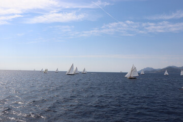 Wall Mural - Cannes Classic Sailing Event