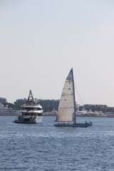 Wall Mural - Cannes Classic Sailing Event