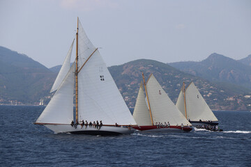 Wall Mural - Cannes Classic Sailing Event