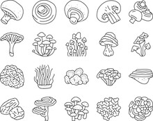 Mushroom Food Forest Fungi Icons Set Vector