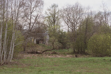 Lonely Old Abandoned Dilapidated  House Overgrown With Dense Grass And Bushes In The Forest