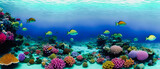 Artistic concept illustration of a underwater landscape