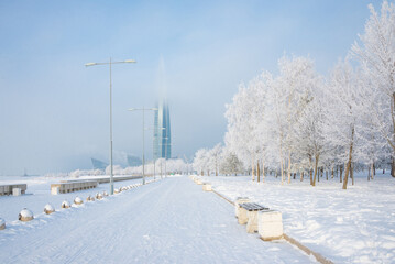 Wall Mural - Winter landscape, trees in the snow