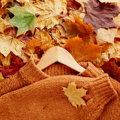 Wall Mural - Autumn concept - a brown knitted sweater on a wooden hanger lies on dry fallen autumn leaves, fragment, close-up
