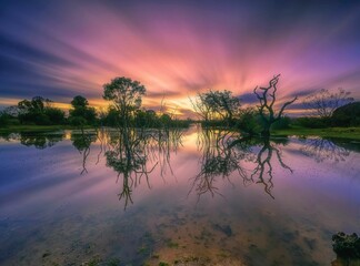 Poster - Mesmerizing dreamy pink sunset over the field reflecting symmetrically on the lake surface