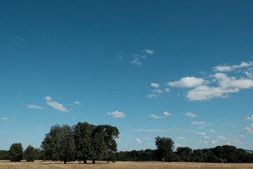 Wall Mural - Scenic view of blue cloudy sky over a meadow with green trees