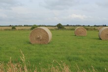 Beautiful View Of Round Hay Bales In A Field