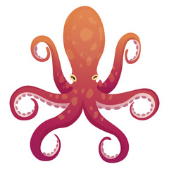 Wall Mural - Octopus cartoon flat character with suckers on hands. Aquatic fauna icon. Animal illustration for zoo ad, nature concept. Cute color octopus, sea animal with tentacles