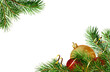 Leinwandbild Motiv Pine twigs and Christmas decorations in corners isolated on white or transparent background