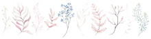 Watercolor Floral Set Of Pink And  Blue Dried Eucalyptus, Leaves, Wild Plants, Flowers, Branches, Twigs Etc. Cut Out Hand Drawn PNG Illustration On Transparent Background. Watercolour Clipart Drawing.
