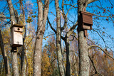 Fototapeta  - Bird and bat house on the tree