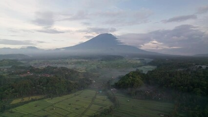 Wall Mural - Foggy morning over the fields in Bali