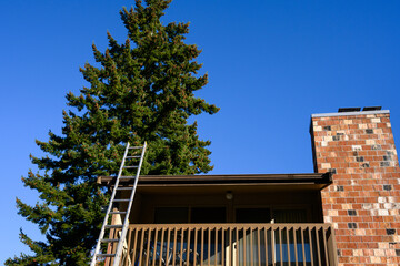 Wall Mural - Aluminum extension ladder propped up against the roof of an apartment building, sunny fall day
