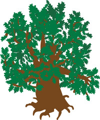 Poster - Green oak icon isometric vector. Old green freestanding deciduous tree with root. Plant, nature, flora, environment