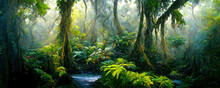 Enchanted Tropical Rain Forest