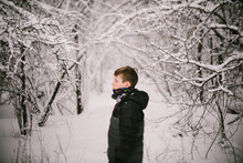 Boy In Snowy Forest In Winter Coat And Neck Warmer