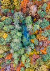 Canvas Print - Pond in the park in autumn colors - Pabianice - Poland