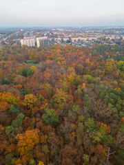 Sticker - Autumn Park in Pabianice - Poland