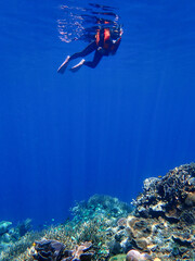 Indonesia Alor Island - Marine life Woman snorkeling in coral reef