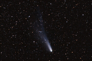 Wall Mural - Halley's Comet, 19 March 1986