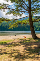 Poster - Beautiful Lake Cowichan in Canada.