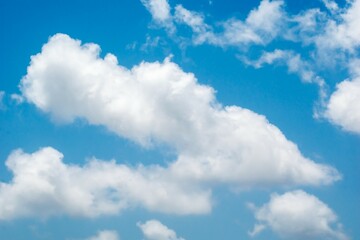 Wall Mural - White fluffy cumulus clouds on a bright blue sky background.