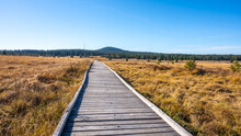 Wooden Path In Bozi Dar Peat Bog Nature Reservation On Sunny Autumn Day. Ore Mountains, Czech: Krusne Hory, Czech Republic