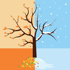 Poster - Tree halves in autumn and winter