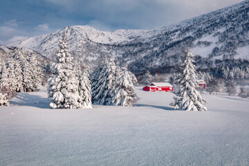 Wall Mural - spectacular winter view of vestvagoy island with typical norwegian red wooden houses. snowy morning 