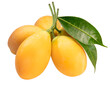 Sweet Yellow Marian Plum isolated on white background, Tropical fruit Marian Plum, Mayongchid, Maprang, on white background With clipping path.