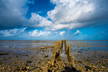 Wattenmer, Strand Harlesiel