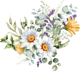 Watercolor flowers bouquet. Daisy flower, calendula, lavender,  eucalyptus branches and leaves. Summer floral arrangement isolated on transparent background for greeting card and invitation