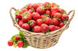 PNG. Basket with ripe wild strawberries