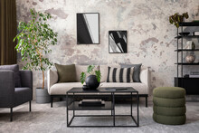 Creative Composition Of Concrete Living Room With Mock Up Poster Frame, Stylish Gray Sofa, Green Pillow, Simple Black Coffee Table, Round Vase With Dried Flowers, Cup, Plants In Flowerpot.Home Decor. 