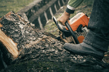 Lumberjack Cut Down Tree With A Chainsaw And Chipped Into Wood Pile. Man With The Chainsaw Working On Hard Labor Wood Cutting Work. Close Up To Wood Cutting.