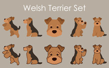 Simple And Adorable Welsh Terrier Set Illustrations