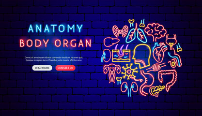 Sticker - Anatomy Neon Banner Design. Vector Illustration of Medical Science Symbol.