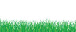 illustration of green grass isolated on transparency background png file resource graphic