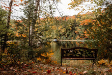 Wooden Bench In Autumn Forest