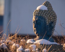 Fine Image Of A Buddha Head Stone Statue In Outdoors On A Winter Day