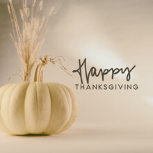 Modern And Minimalism Style With White Pumpkin And Happy Thanksgiving Greeting Background.