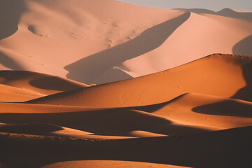 Wall Mural - merzouga desert sahara sand dunes in morocco