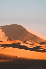 Wall Mural - merzouga desert sahara sand dunes in morocco