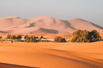 Wall Mural - merzouga desert sahara sand dunes in morocco