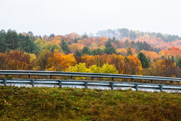 Wall Mural - White National Forest, New Hampshire, USA