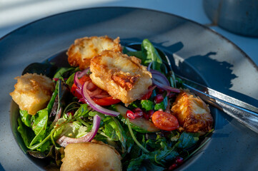 Wall Mural - Healthy vegetarian Mediterranean food, Grilled Halloumi cheese Salad with green lettuce, onion and cucumber