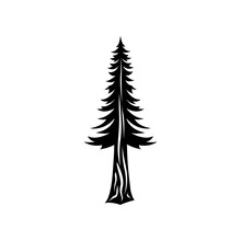 Natural Silhouette Of A Redwood Tree. Template Tree Isolated