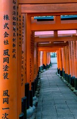 Poster - Vertical shot of a pathway in Fushimi-Inari Taisha with Japanese hieroglyphics on poles