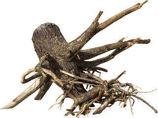 Aufkleber - Isolated PNG cutout of a dead tree on a transparent background