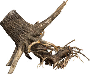 Aufkleber - Isolated PNG cutout of a dead tree on a transparent background